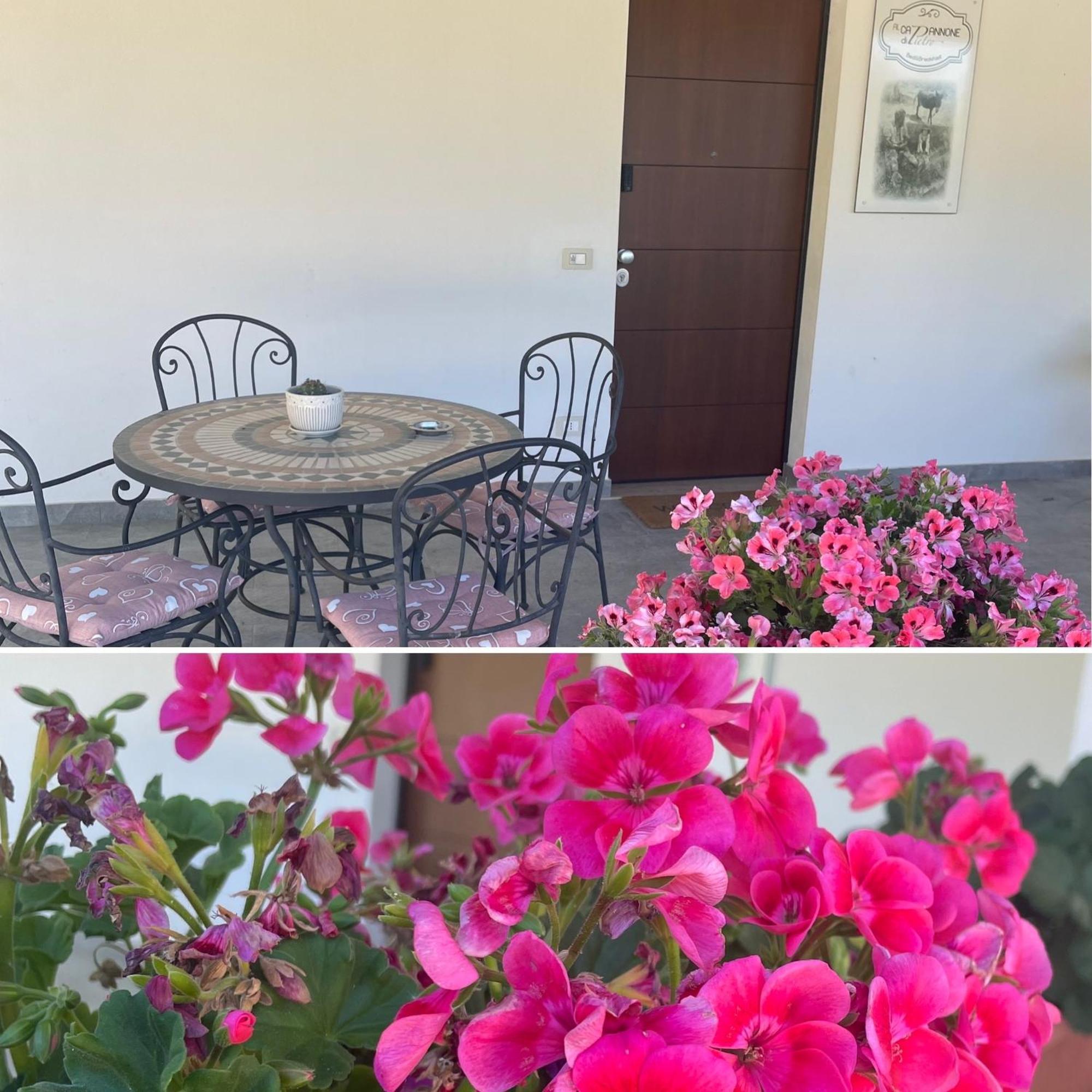 Al Capannone Di Pietro Bed & Breakfast Colli a Volturno Dış mekan fotoğraf